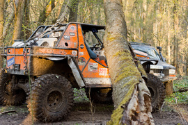 Ekstremalny Rainforest Challenge na Modrzewinie