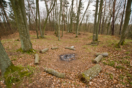 Las zmiennym jest (Do lasu z portElem, odc. 1)