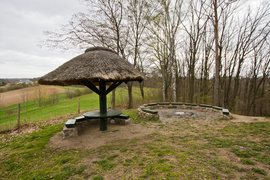 Las zmiennym jest (Do lasu z portElem, odc. 1)