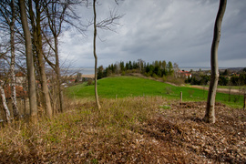 Las zmiennym jest (Do lasu z portElem, odc. 1)