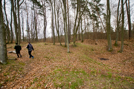 Las zmiennym jest (Do lasu z portElem, odc. 1)