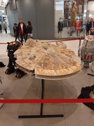 „Dawno, dawno temu, poszliśmy do kina...” („Gwiezdne wojny” w Elblągu, część 1)