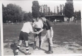 Żółto-biało-niebieska saga rodzinna