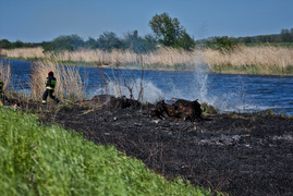 Pożar trzcinowiska, ogień strawił około 3 hektarów terenu