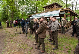 \"Tysiąc drzew na minutę\"