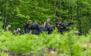 \"Tysiąc drzew na minutę\"