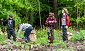 \"Tysiąc drzew na minutę\"