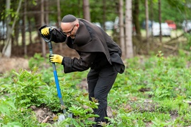 \"Tysiąc drzew na minutę\"