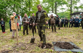 \"Tysiąc drzew na minutę\"
