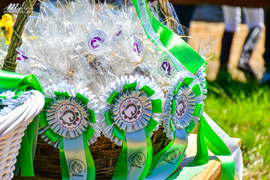 Wystartował piąty sezon PONY CUP 2021