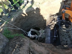 Byk wpadł do studni. Uratowali go strażacy