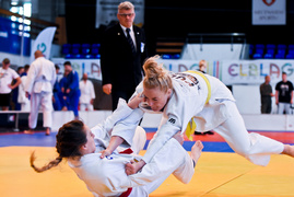 Żołnierze w judogach