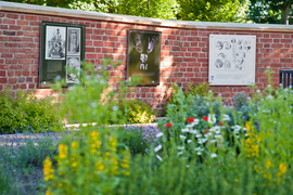 Medyczne spotkanie z historią