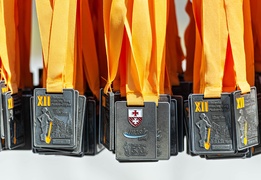 Przybyłem, zobaczyłem, zwyciężyłem