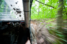 Piknik Rainforest Challenge Poland na Modrzewinie