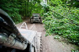 Piknik Rainforest Challenge Poland na Modrzewinie