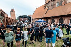 Illusion nadal w formie