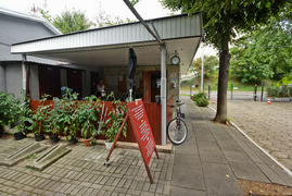 Z ziemi włoskiej na camping do Elbląga