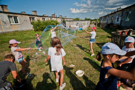 Skrzydlata w żywszych barwach