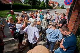 Śladami winnicy i Napoleona
