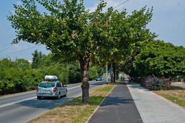 Ścieżki gotowe, będzie dodatkowe oznakowanie