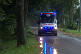 Dachowanie w Próchniku