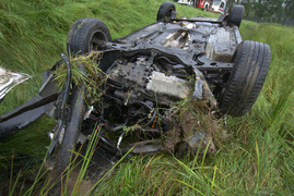 Dachowanie w Próchniku