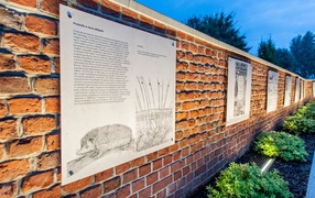 Jak postrzegali i poznawali przyrodę dawni elblążanie?