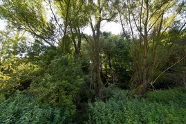 Tak można odkorkować Bema  (opinia) 