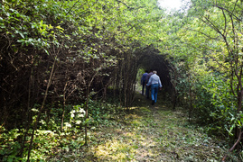 Tak można odkorkować Bema  (opinia) 