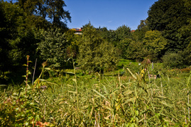 Tak można odkorkować Bema  (opinia) 