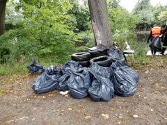 Wystarczyła godzina, by zebrać górę śmieci....