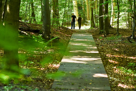 Miejsce, w którym odetchniesz (Do lasu z portElem, odc. 4)