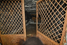 Miejsce, w którym odetchniesz (Do lasu z portElem, odc. 4)