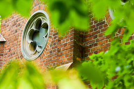 Miejsce, w którym odetchniesz (Do lasu z portElem, odc. 4)