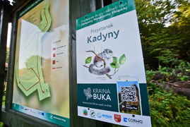 Miejsce, w którym odetchniesz (Do lasu z portElem, odc. 4)