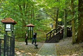 Miejsce, w którym odetchniesz (Do lasu z portElem, odc. 4)