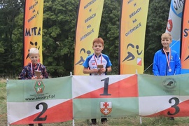 Puchar Elbląga w biegu na orientację