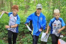 Puchar Elbląga w biegu na orientację