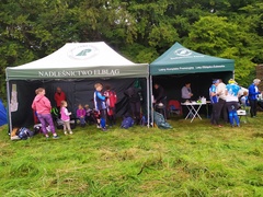 Puchar Elbląga w biegu na orientację