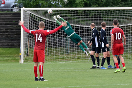 Krótka pucharowa przygoda