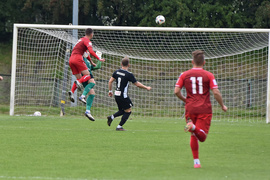 Krótka pucharowa przygoda