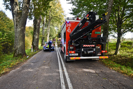Kierująca renault uderzyła w drzewo