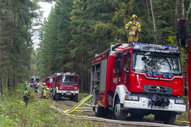 Strażacy ćwiczyli, jak ratować las