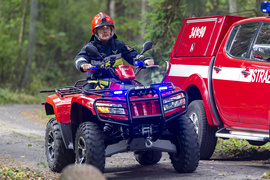 Strażacy ćwiczyli, jak ratować las