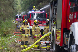 Strażacy ćwiczyli, jak ratować las