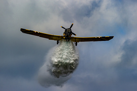 Strażacy ćwiczyli, jak ratować las