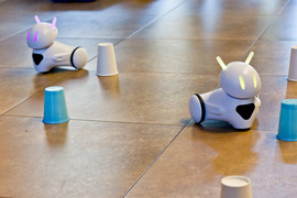 RoboSfera, czyli programowanie, roboty, nauka i zabawa!
