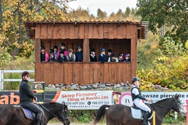 Konie, tradycja i pościg za lisem