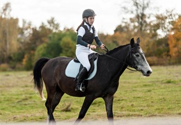 Konie, tradycja i pościg za lisem